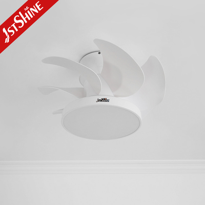Flush Mount Small Led Light Ceiling Fan With Decorative Quiet DC Motor