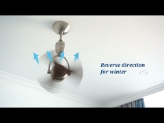 আধুনিক 14 ইঞ্চি নিকেল ডিসি ছোট ঘূর্ণায়মান সিলিং ফ্যান রিমোট কন্ট্রোল