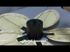 ক্লাসিক ডেকোরেটিভ সিলিং ফ্যান ভিলা এক্সোটিক মালয়েশিয়া 5 পাম ব্লেড