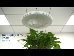 বেডরুমের জন্য স্মার্ট অ্যাপ কন্ট্রোল 20 ইঞ্চি ফ্লাশ মাউন্ট এলইডি সিলিং ফ্যান