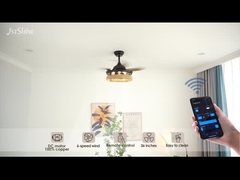 রেপ কেজ লুকানো ব্লেড সিলিং ফ্যান লাইট রিমোট কন্ট্রোল ডিসি মোটর সঙ্গে