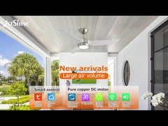 হালকা ডিসি মোটর সহ 3 ব্লেড সিলিং ফ্যান 6 স্পিড পছন্দ আধুনিক স্টাইল