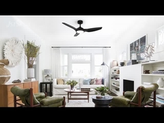 ডিসিএফ-এফএস৫২৯২০ ৪৮