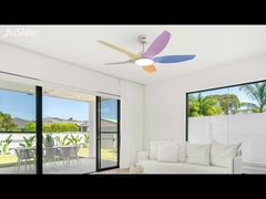 ডিসিএফ-এফএস৫২৯২০-৫ ৪৮