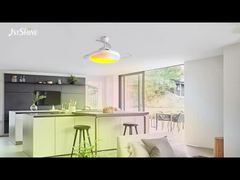 ৪২ ইঞ্চি স্মার্ট রিট্রোকটেবল সিলিং ফ্যান, পরিবেষ্টিত আলো সহ