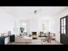 আধুনিক সিলিং ফ্যান ৪৮'' প্লাস্টিক ব্লেড ডিসি মোটর ডুয়াল-ফাংশন মডেল ঐচ্ছিক লাইট কিট সহ