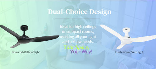 সম্পর্কে সর্বশেষ কোম্পানি খবর এক ভ্যান, অনেক সম্ভাবনাঃ 1stShine থেকে কাস্টমাইজযোগ্য বিকল্প